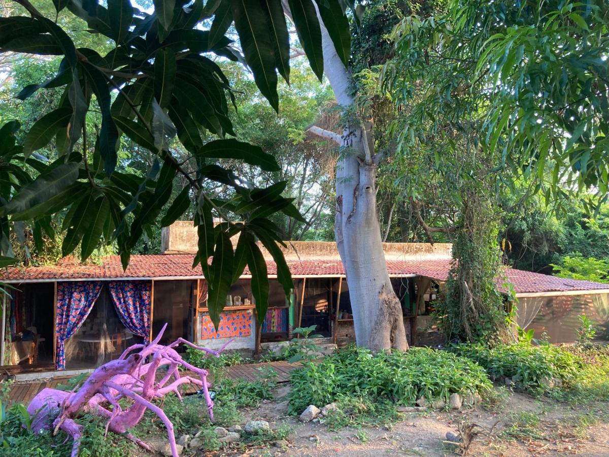 Planta Glamp Farm Hotel Santa María Huatulco Exterior foto